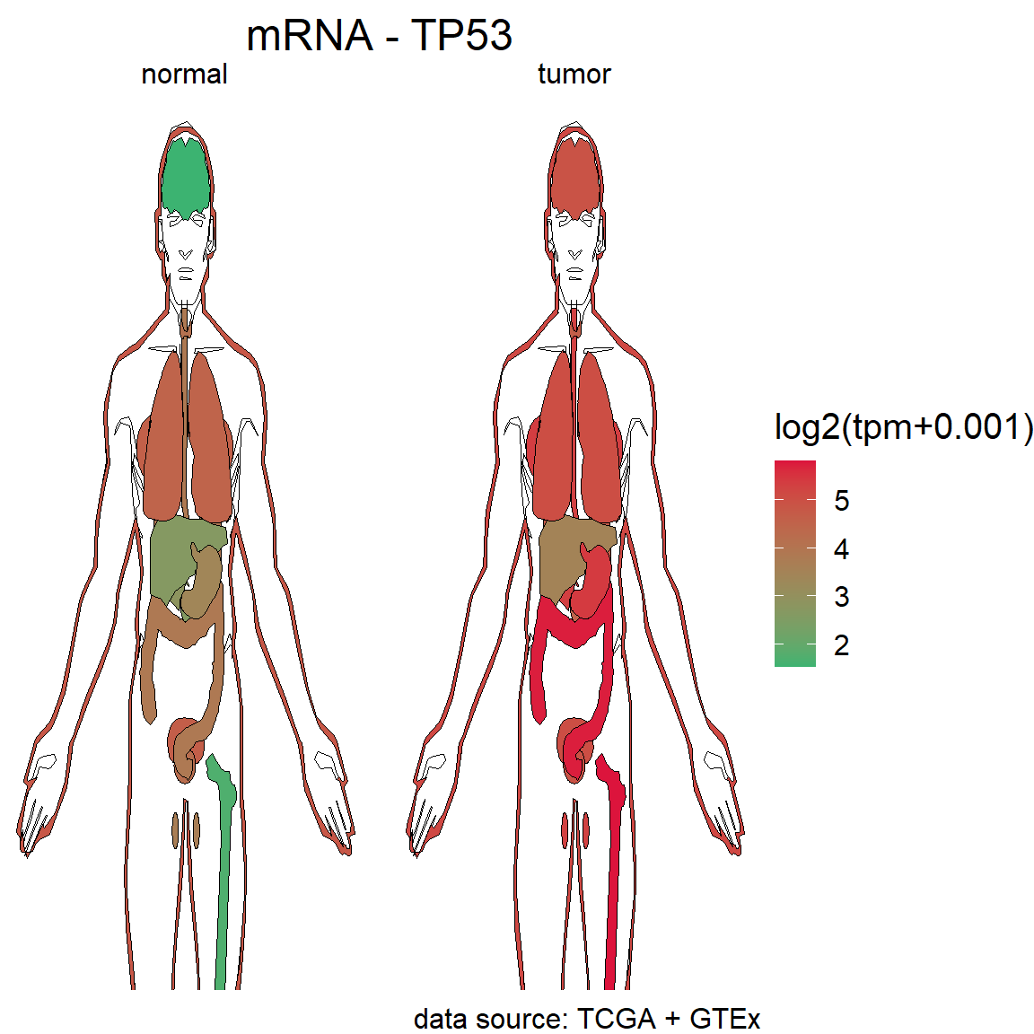 The difference of mRNA TP53 in Pan-cancer