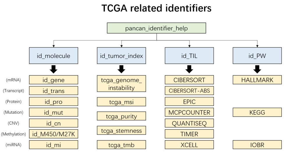 TCGA related identifiers