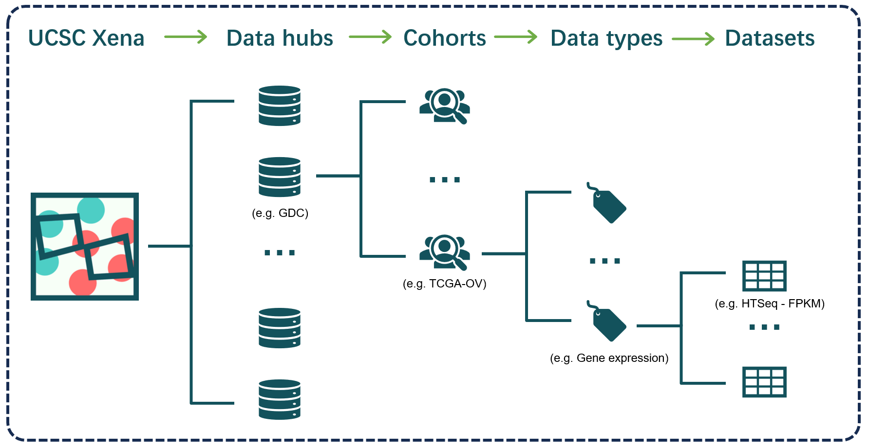 The hierarchy of datasets in UCSC Xena