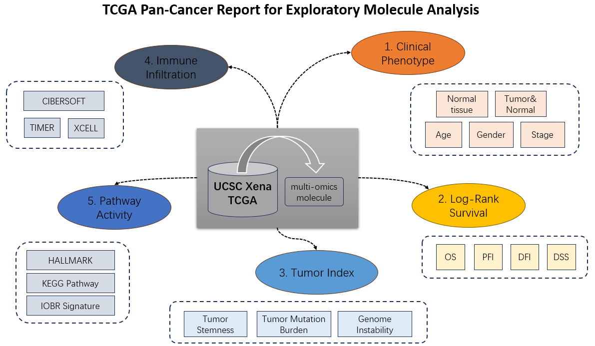 Five main parts of molecular report