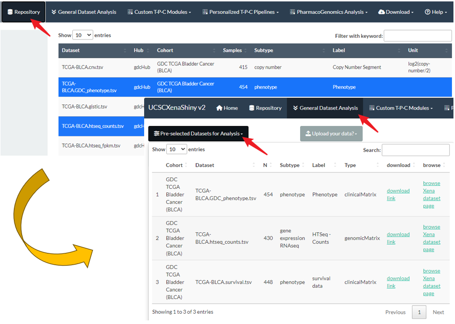 The initial step of General Dataset Analysis