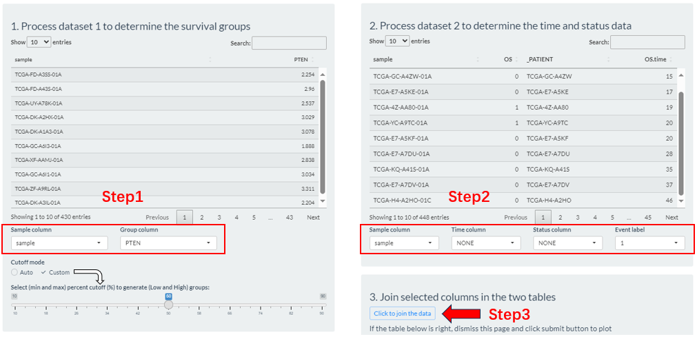 The Survival-Analysis grouping via the Preprocess button