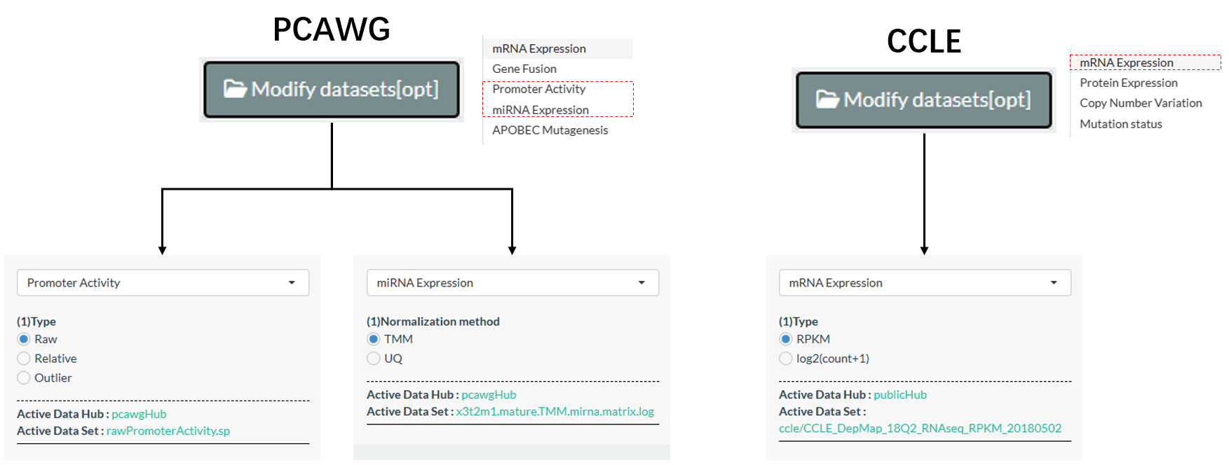 Alternative datasets of PCAWG and CCLE molecules