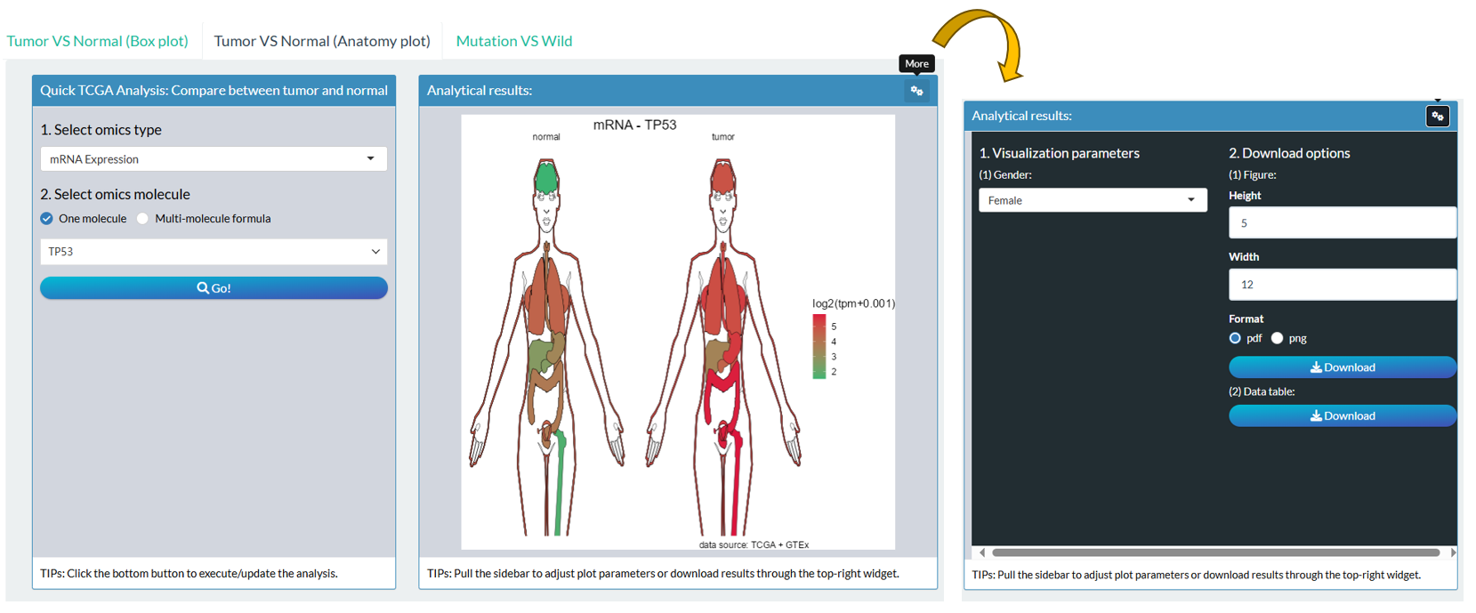 The layout of module "Tumor VS Normal (Anatomy plot)"