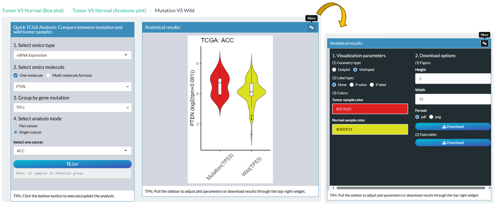 The steps of module "TCGA: Association Between Molecular Profile and Gene Mutation"