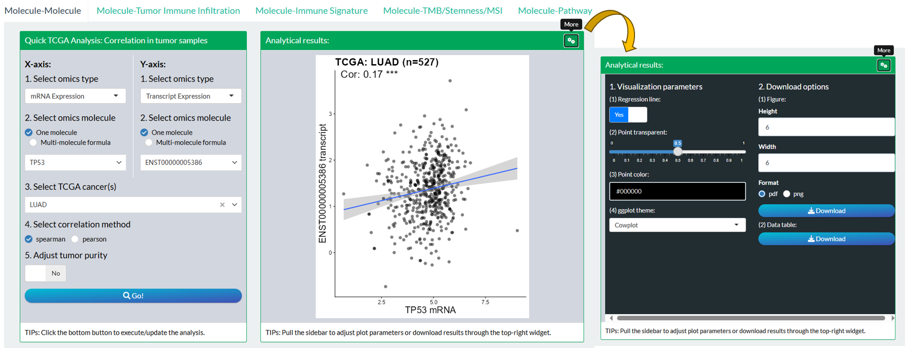 The steps of module "TCGA: Molecule-Molecule Correlation"