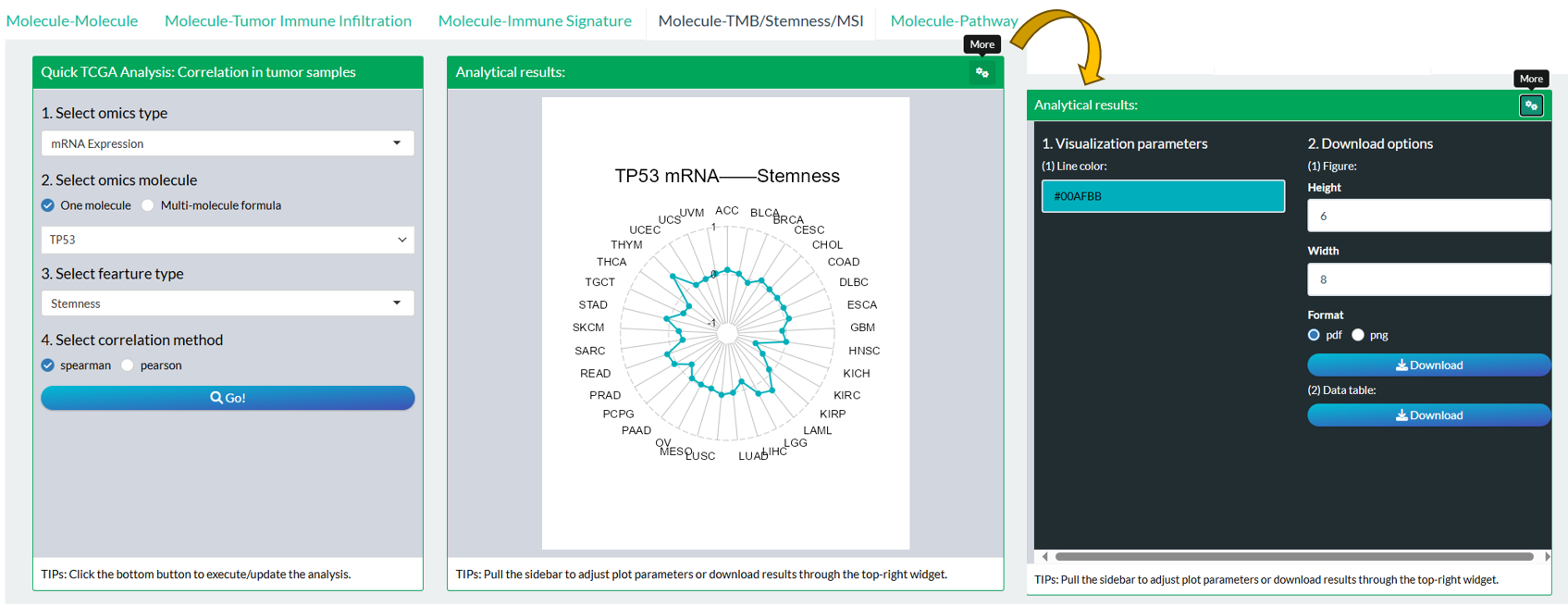 The steps of module "TCGA: Association Between Molecular Profile and TMB/Stemness/MSI (Radar Show)"