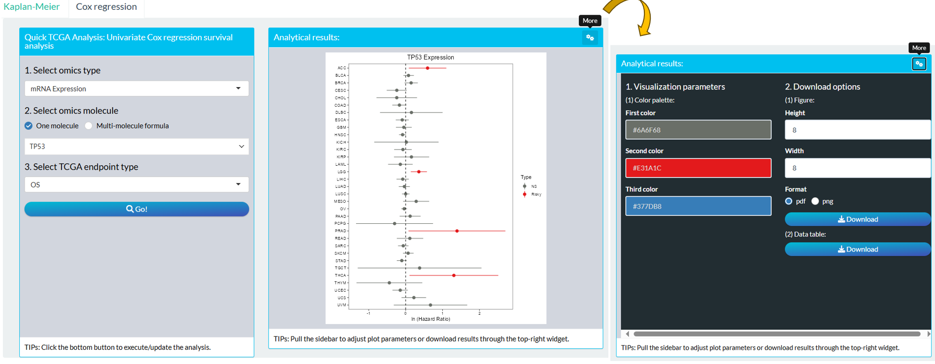 The steps of module "TCGA: Molecular Profile Cox Analysis"