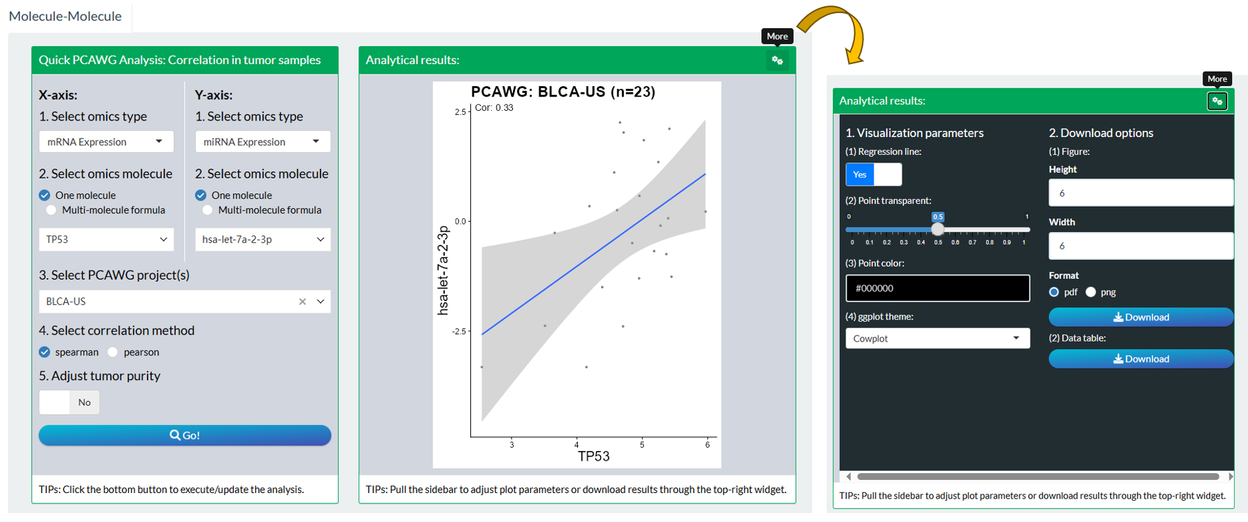 The steps of module "PCAWG: Molecule-Molecule Correlation"