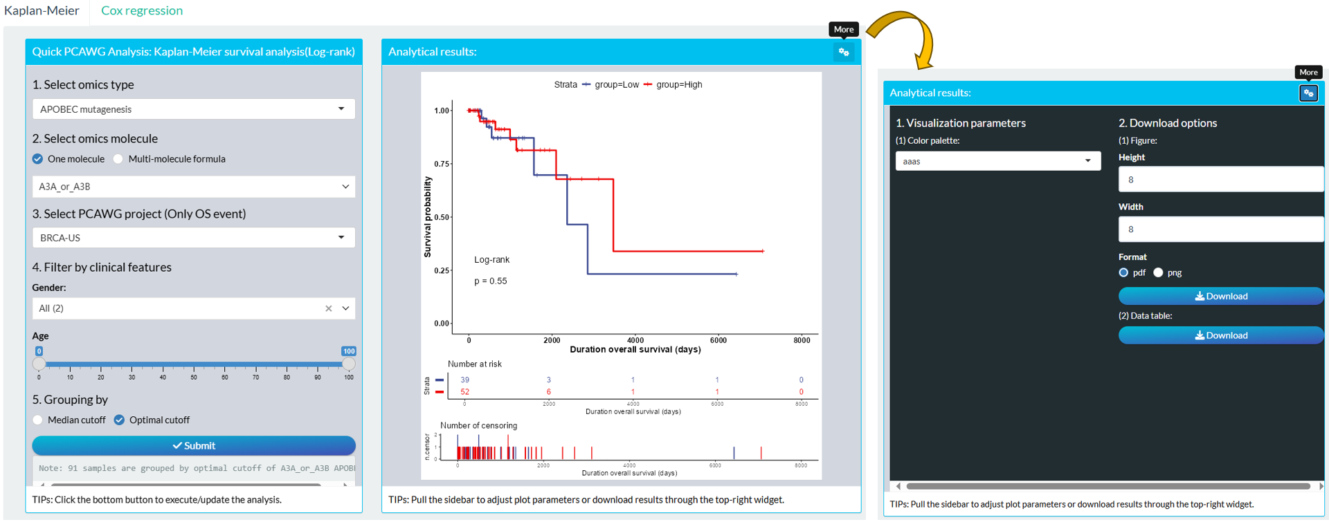 The steps of module "PCAWG: Molecular Profile Log-rank Analysis"