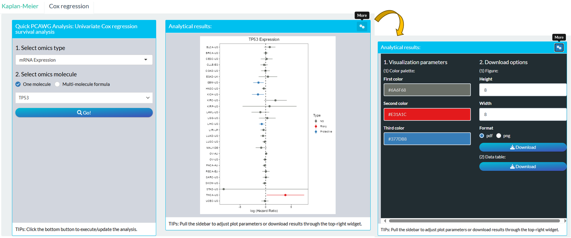 The steps of module "PCAWG: Molecular Profile Log-rank Analysis"