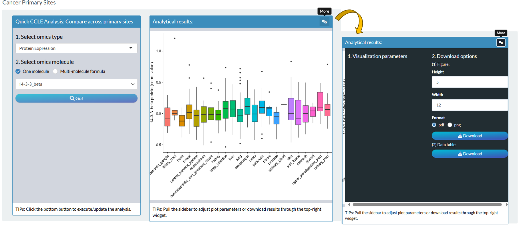 The steps of module "CCLE: Molecular Profile Distribution Across Cancer Primary Sites"