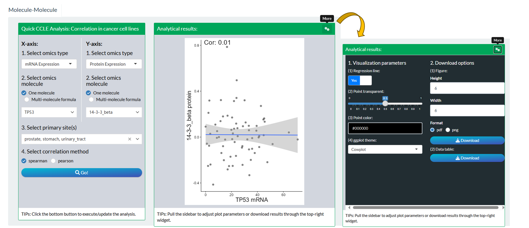 The steps of module "CCLE: Molecule-Molecule Correlation"