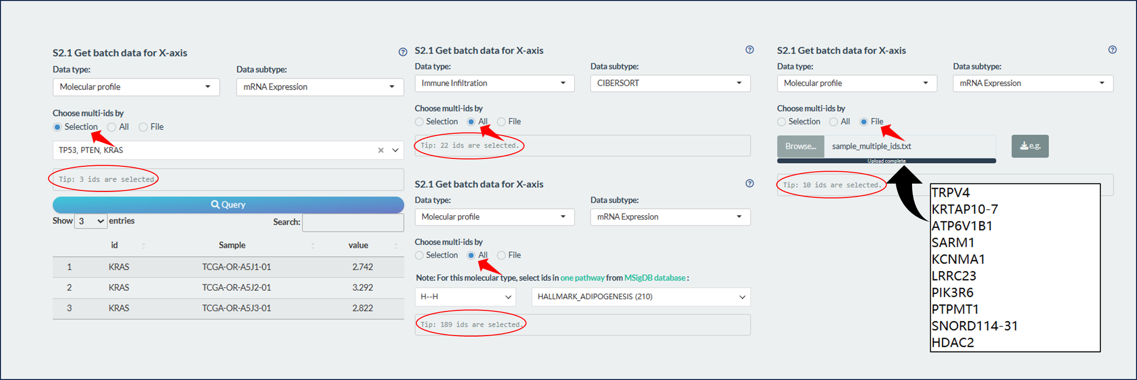 Fetch multiple data