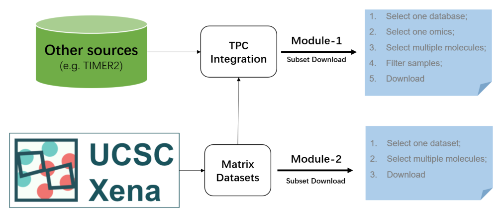 Two custom download modules