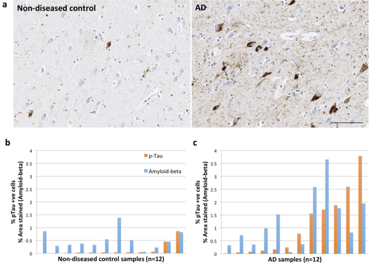 image-20220414173342171