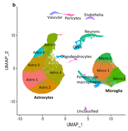 image-20220414173951402