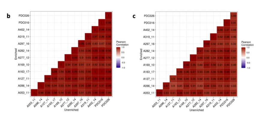 image-20220414174726441