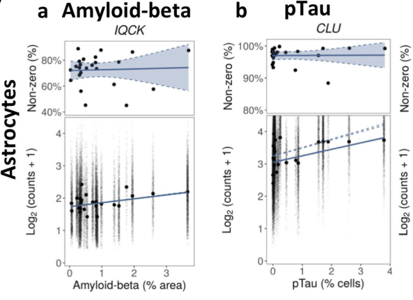 image-20220414195615054