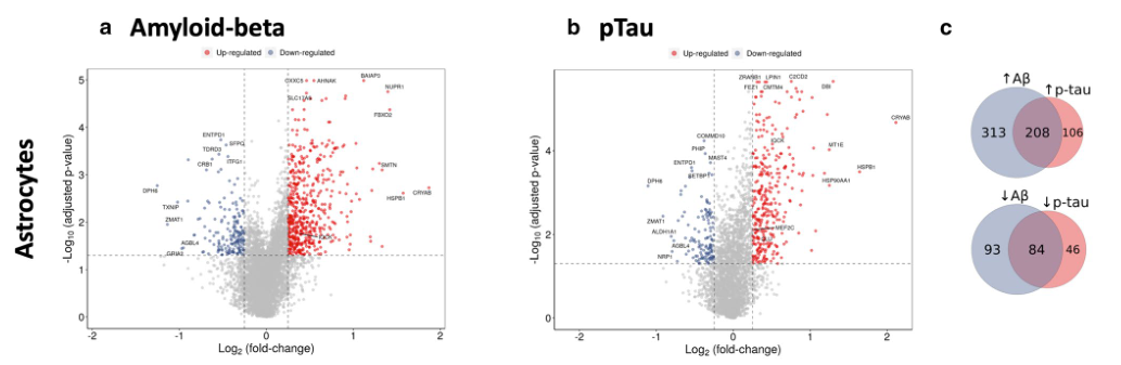 image-20220414195954182