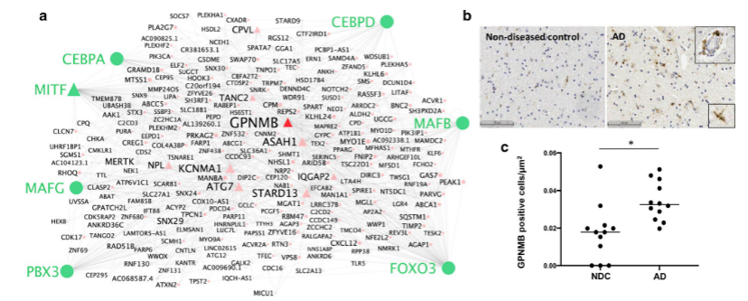 image-20220414205605748