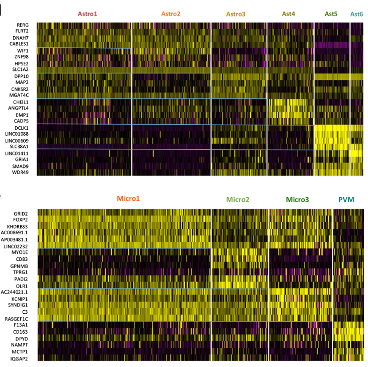 image-20220414210755285