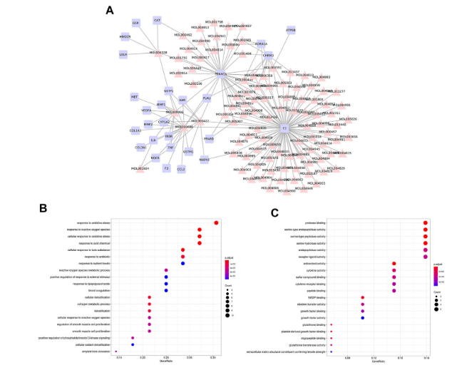 image-20220422161635044