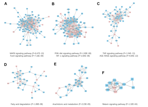 image-20220422164953379