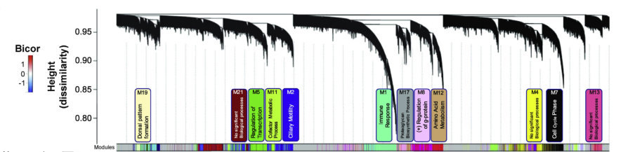 image-20220505152653804