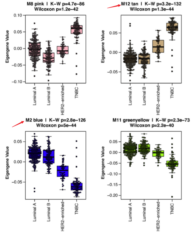 image-20220505153025252