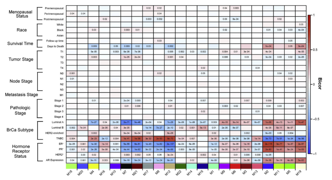 image-20220505154030287