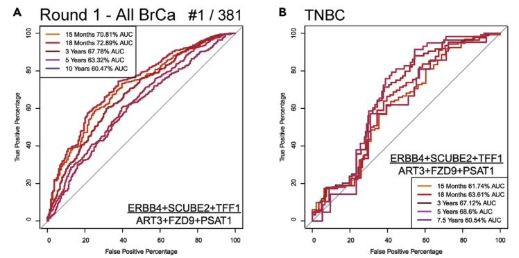 image-20220505200128521