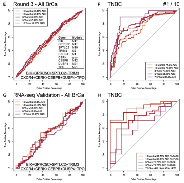 image-20220505203823399