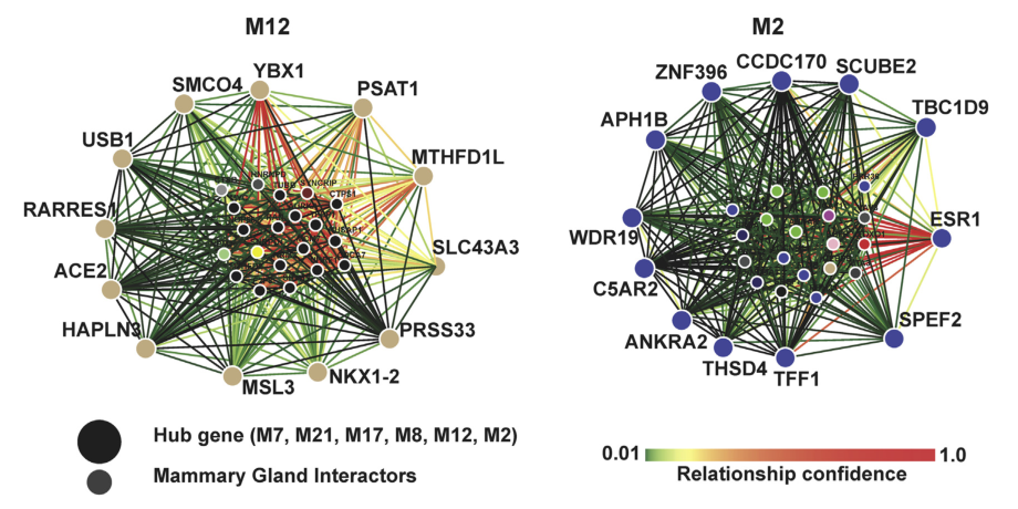 image-20220506143725861