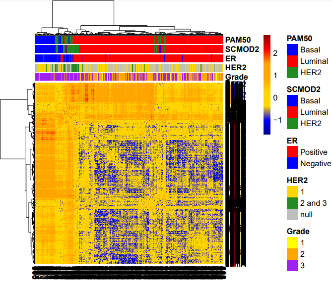 image-20220513152042461