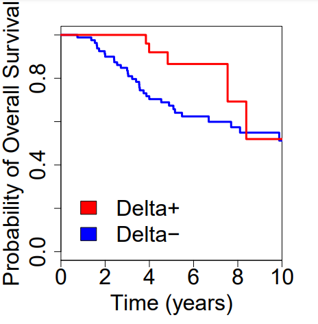 image-20220513154846954