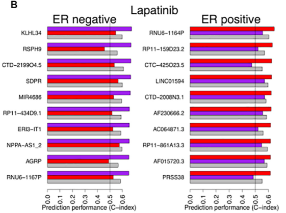 image-20220513170032138