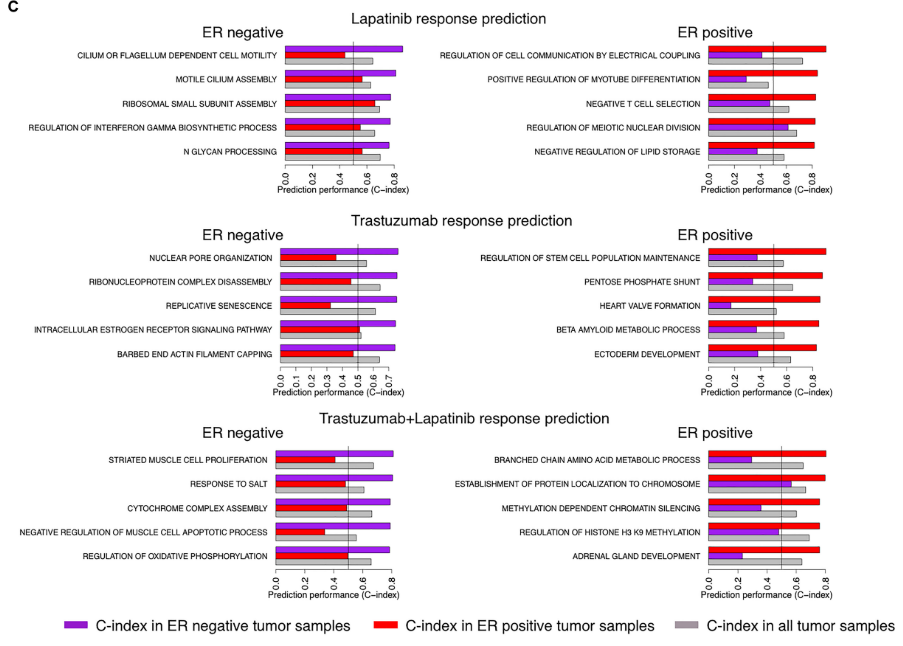 image-20220513170442175