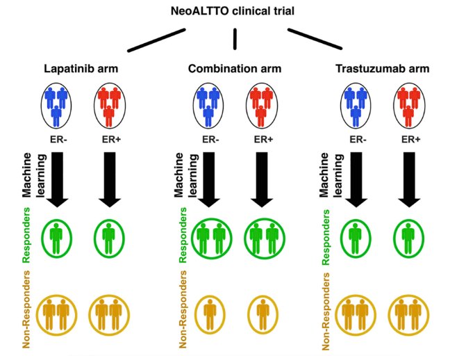 image-20220513171315466