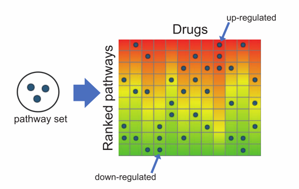 image-20220531163539769