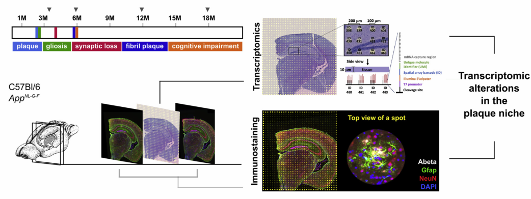 image-20220609140300185