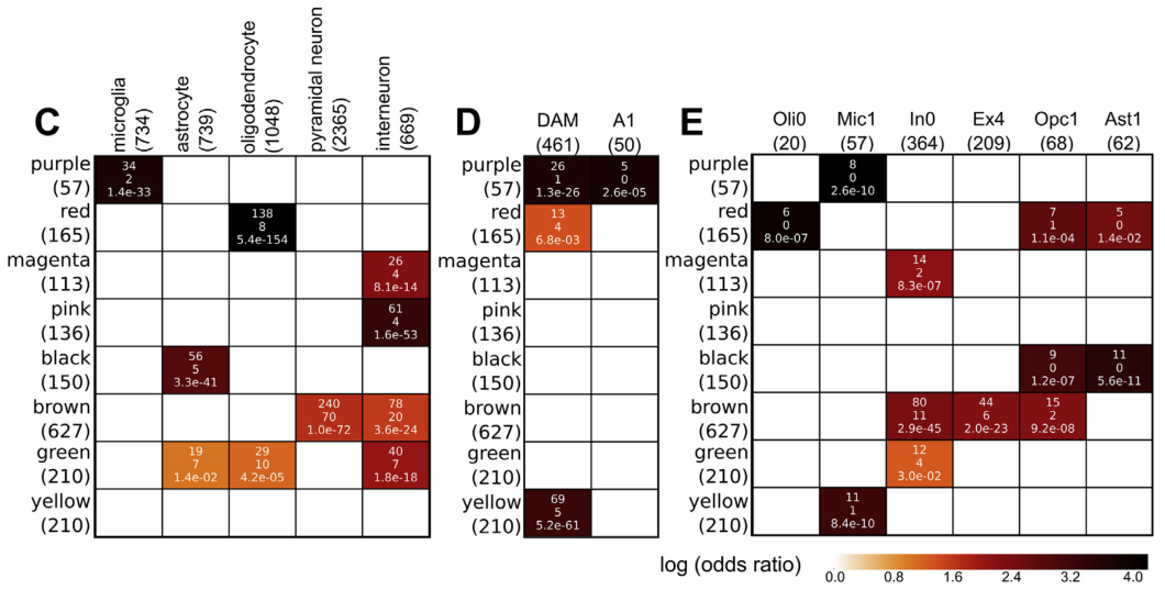 image-20220609154631964