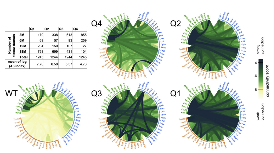 image-20220609161738686