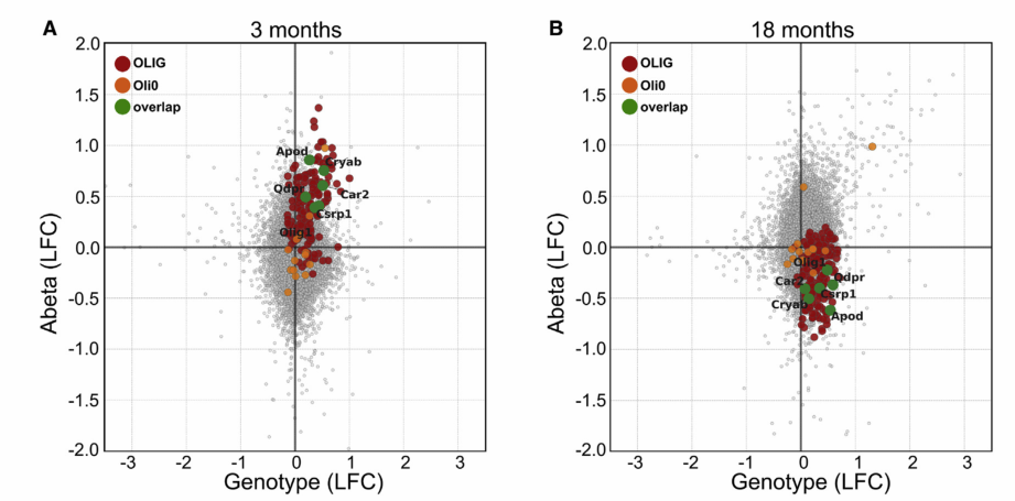 image-20220609163538644