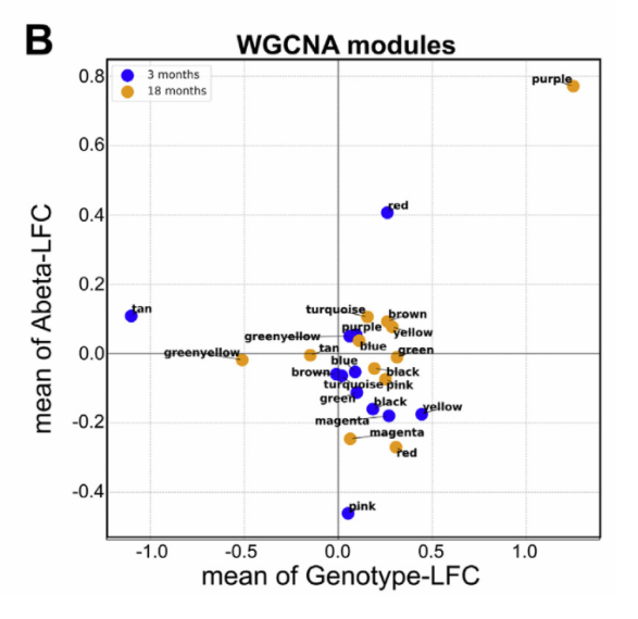 image-20220610142953823