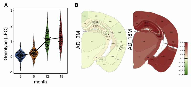 image-20220610144533644