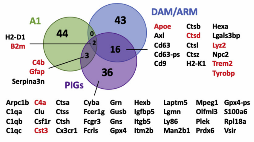 image-20220610145454928