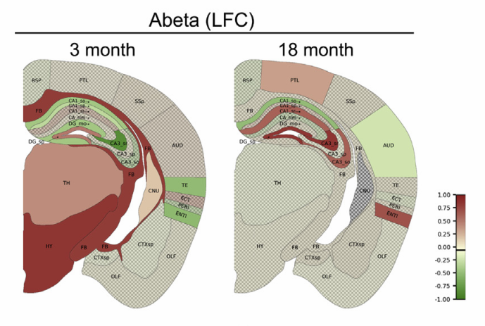 image-20220610152339043