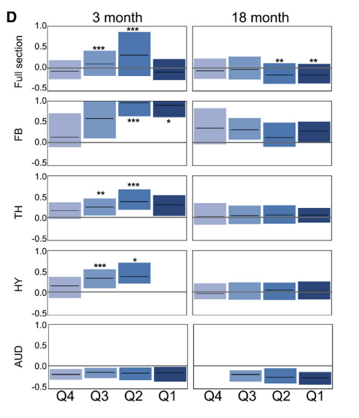 image-20220610153155619