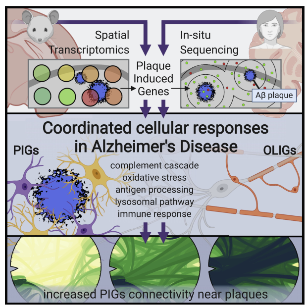 image-20220610154747798